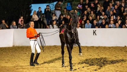 Escola Eqüestre Menorquina