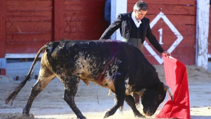 Natural de Juan Mora al primer novillo del festival de Chinchón