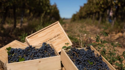 Fernando Fuentes: "Los aranceles podrían tener una influencia negativa en nuestras ventas allí"