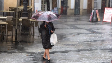 14/11/2024 Una mujer camina con un paraguas para protegerse de la lluvia en Jerez de la Frontera.
POLITICA
AYUNTAMIENTO DE JEREZ