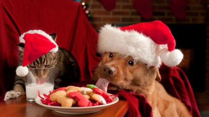 Mucho cuidado con la alimentación de tu mascota esta Navidad