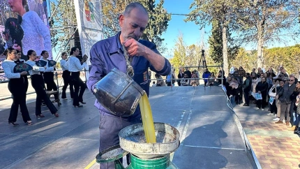 El “hoyo aceitunero” reúne a marteños y visitantes en la XLIV Fiesta de la Aceituna