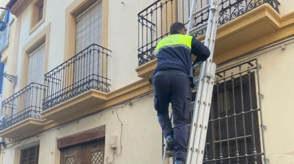 Los agentes subiendo hasta el piso en el que se coló el ladrón para robar