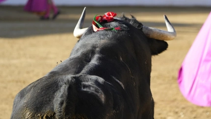 En marcha el Circuito de Novilladas de Castilla y León 2025