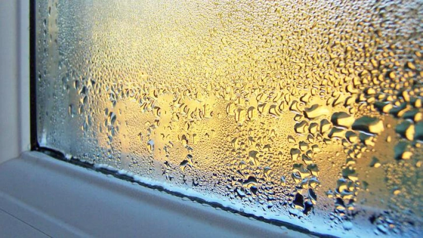 Murprotec cuentan con una tecnología propia contra las humedades