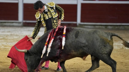 Colombo y el toro 'Duende' de Campo Real, indultado en el último festejo de la Feria de Cali