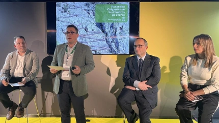 Las Pasarelas Colgantes en las Cimbras de Torres, presentadas en el marco de la Feria Internacional de Turismo