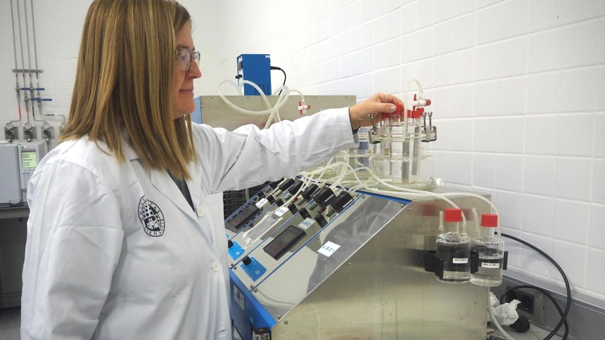 "OliPFUEL", la apuesta de la UJA para transformar residuos del olivar en energía limpia