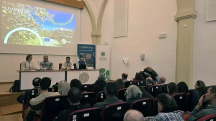 El Living Lab Andaluz analiza las principales amenazas para la salud del suelo del olivar en su I Encuentro de Cocreación