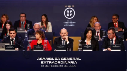 Rafael Louzán, en la Asamblea de la RFEF