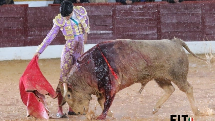 Derechazo de Sergio Sánchez al cuarto novillo de Talavante en Olivenza