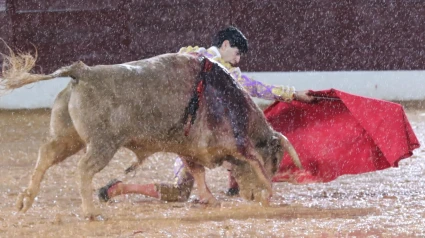 Arranque Feria Olivenza