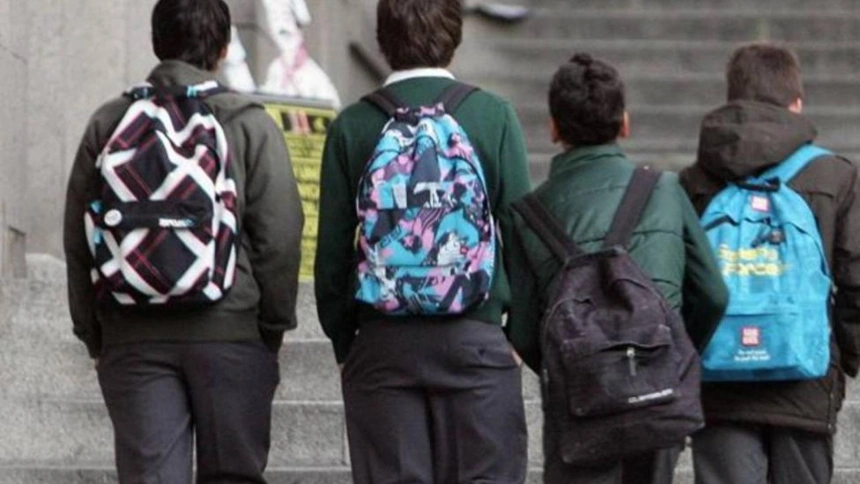 ‘Hacer Novillos’