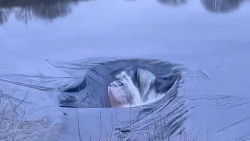 Desbordamiento en Jarandilla de la Vera