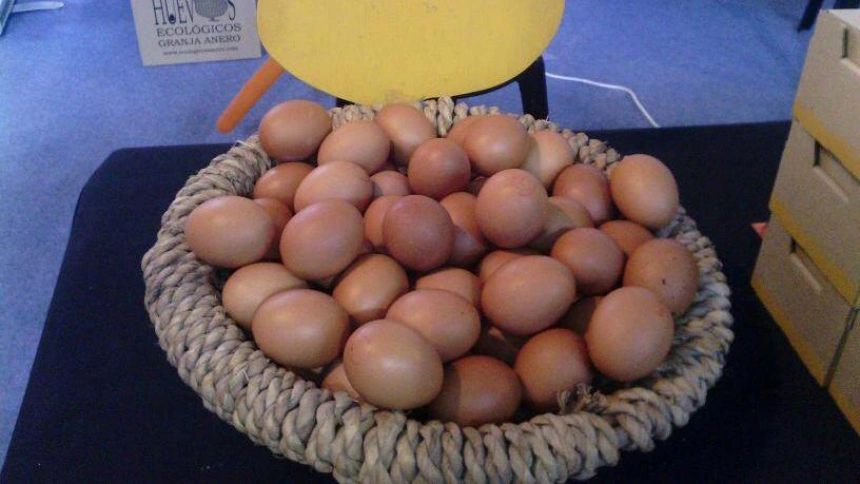 Huevos Anero en una cesta