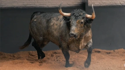 Los toros de Adolfo Martín para Las Ventas