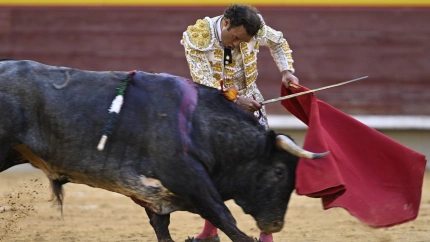 Antonio Ferrera ante 'Ruiseñor', el toro de La Quinta indultado este domingo en Castellón