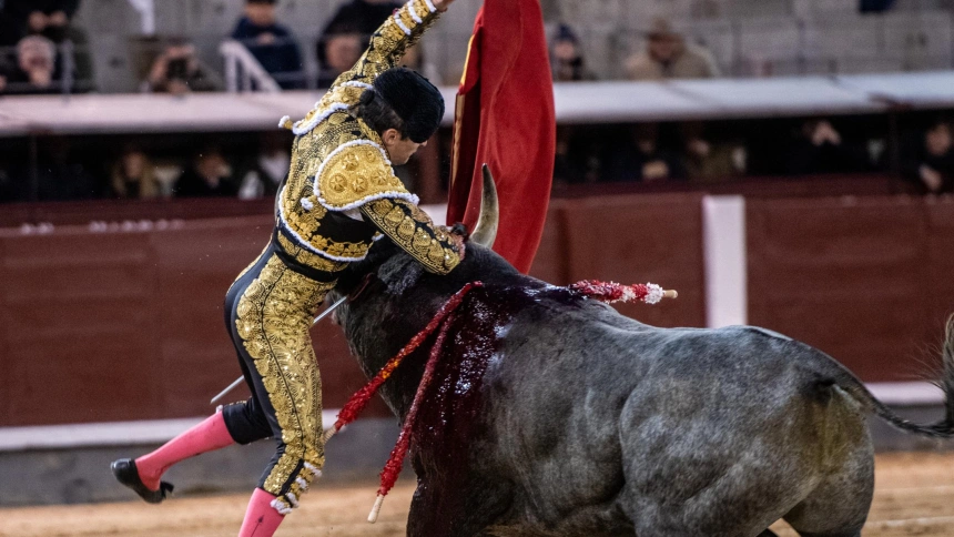Damián Castaño, buena faena sin espada y cornada en Las Ventas