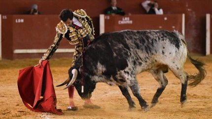 Derechazo de Álvaro Burdiel al sexto toro en Torres de la Alameda