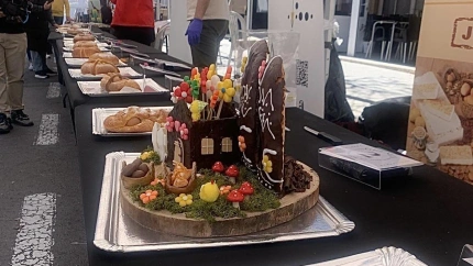 Algunas de las mejores monas que se presentaron al concurso.