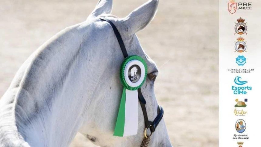XII Campeonato de Baleares del caballo de Pura Raza Española