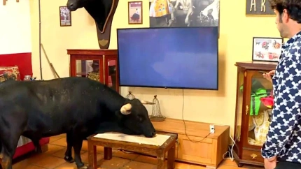 Tamariz y Chechu en el salón de casa poniendo la televisión