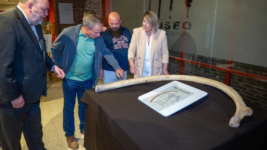 Costilla de mamut en Museo Arqueológico de Cartagena