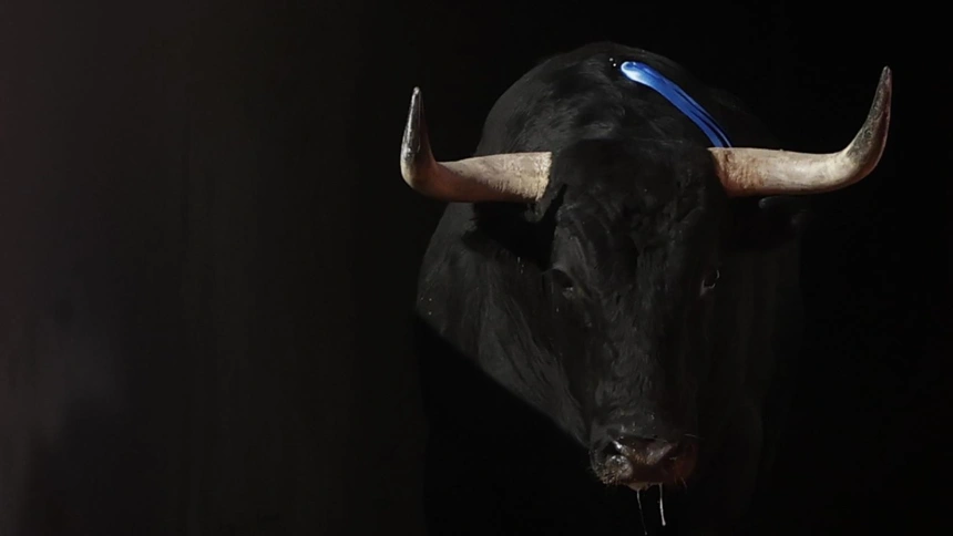 Toro saliendo por chiqueros