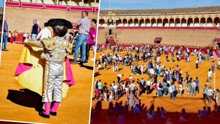 IX Jornadas de Puertas Abiertas en la Real Maestranza de SEvilla