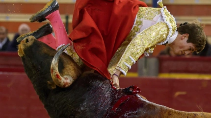Javier Zulueta, en la voltereta sufrida al entrar a matar al sexto novillo de Montealto