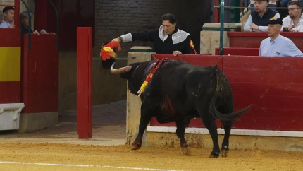El primer toro del diestro David Galván, volviendo a chiqueros tras sonar los tres avisos