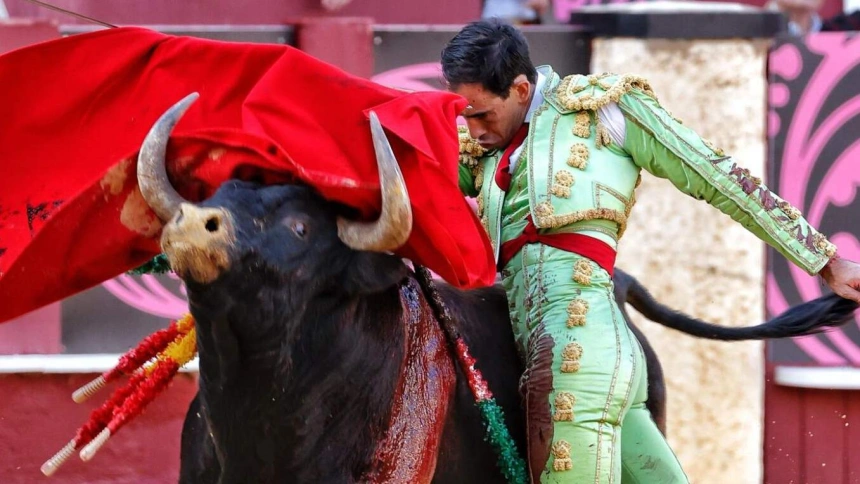 Fortes, en El Albero