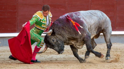 Luis Gerpe, durante su actuación este domingo en la plaza de toros de Las Ventas