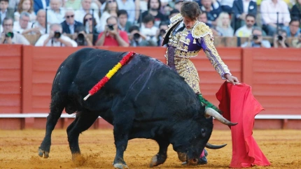 Lama de Góngora, en El Albero