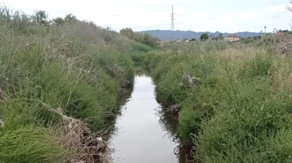 Imagen de un vertido de aguas residuales del curtido ya tratadas al río Guadalentín en Marchena