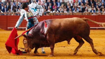 Derechazo de Morante de la Puebla este lunes en Sevilla