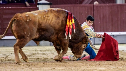 Madrid, miércoles 14 de mayo de 2025. Oreja para Fonseca con el bravo 'Brigadier'
