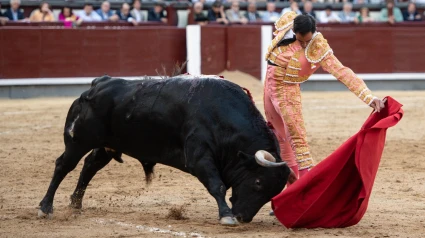 Madrid, miércoles 21 de mayo de 2025. Vuelta al ruedo para Fortes