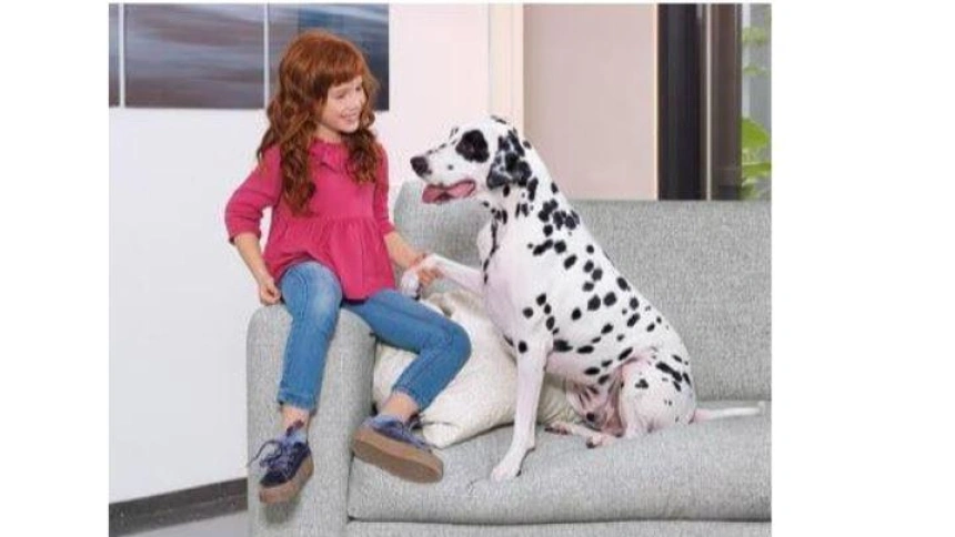 Sofás Antimanchas: la solución perfecta para hogares con niños y mascotas