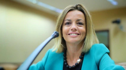 Ana Zurita, directora General de Industria del Gobierno de Canarias