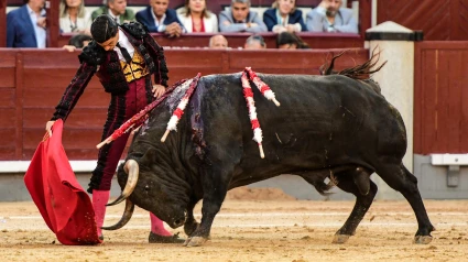 Pablo Aguado, ante el toro de Torrealta al que ha cortado una oreja