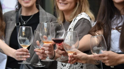 Foto: DOP Vino de Cebreros