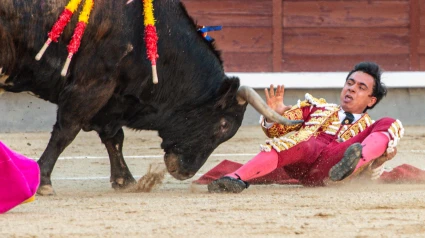 Madrid, 27 de mayo de 2025. Vuelta al ruedo para Juan de Castilla