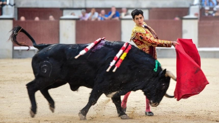 Madrid, viernes 30 de mayo de 2025. Vuelta al ruedo de Marco Pérez en su encerrona