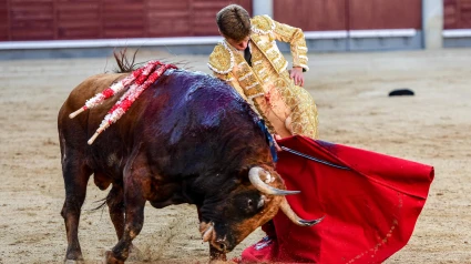 Madrid, jueves 5 de junio de 2026. Oreja para Borja Jiménez
