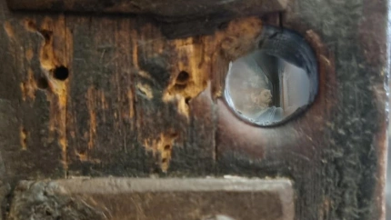 Anamorfosis de Carlos V en la Catedral de Palencia