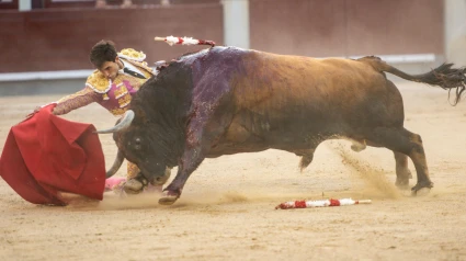 Madrid, viernes 6 de junio de 2025. Notable impresión de Samuel Navalón