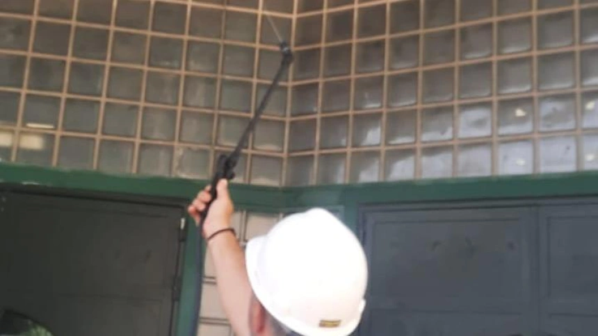 Trabajos de Prolidesma