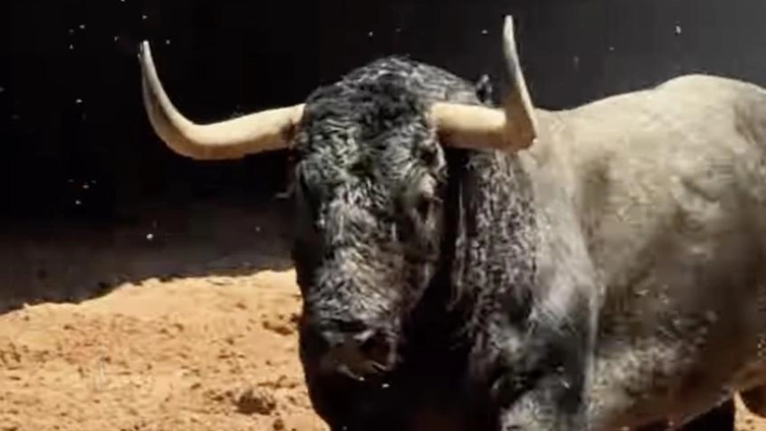 Uno de los toros de Victorino Martín en los corrales de Las Ventas