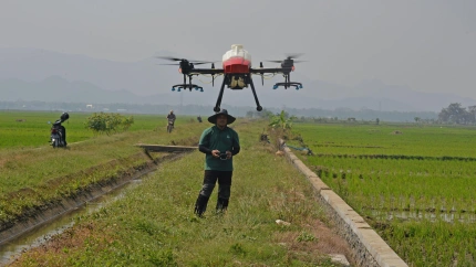 Un hombre controla un dron para echar líquido pesticida a las plantas de arroz